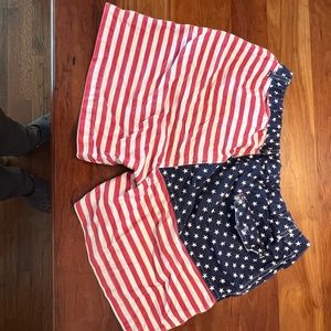 Chubbies flag bathing suit, large